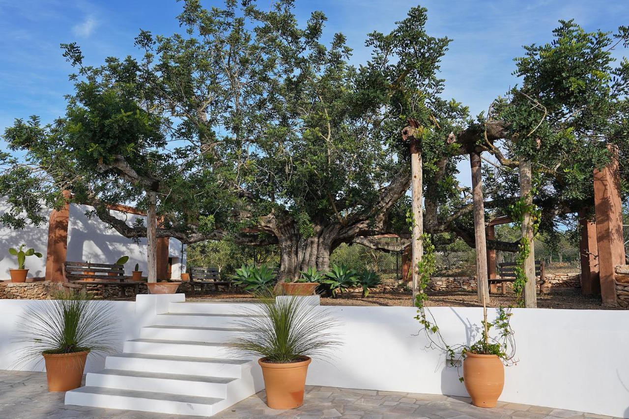 Villa Can Vicent Sant Antoni de Portmany Zewnętrze zdjęcie